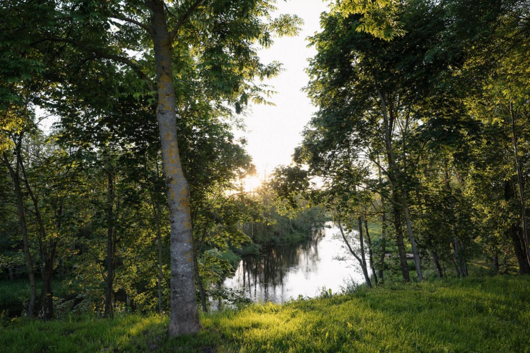 Rest Green Degesiai Buitenkant foto
